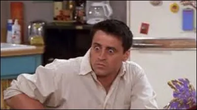 Quels métiers a fait Joey ?