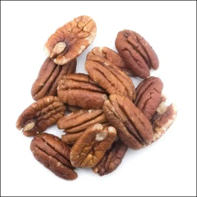 Quel arbre produit la noix de pécan ?