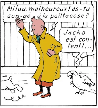 Après la « névrose » et la « psychose », voici la dernière née des troubles psychiques : la « stacose ». Comment se définie-t-elle ?