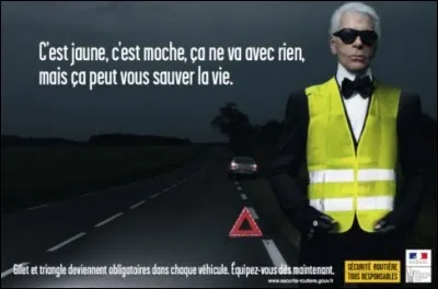 Dit « de Lagerfeld », ce syndrome serait plus répandu que l'on ne croit... Pourquoi donc ?