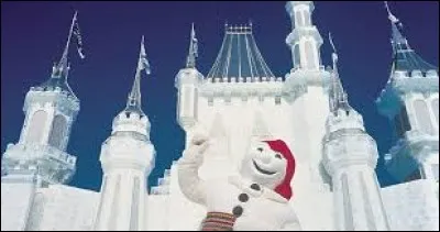 Considéré comme le plus grand carnaval d'hiver au monde, sans doute le moment phare de l'hiver, ces festivités sont symbolisées par le Bonhomme Carnaval, devenu mascotte officielle. 
Traversée du fleuve glacé en canots, courses de chevaux attelés dans la neige, traîneaux à chiens, glissades et défilés de nuit sans oublier l'audacieux bain de neige.
Je vous invite au :