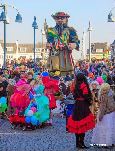 C'est un carnaval de tradition rhénane : les couleurs sont demeurées le vert, le jaune et le rouge. Toutefois, en ce qui concerne les déguisements, on voit de tout, avec des costumes typiquement vénitiens ou des groupes de samba. La véritable fête commence en février : les Stadsprins vont défiler de la gare au marché où le maire remet les clefs au prince.
De quel carnaval s'agit-il ?