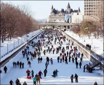 Comme toujours, vous pourrez admirer les oeuvres créées durant le concours de sculptures sur glace, patiner sur le canal Rideau et lâcher votre fou au Domaine des flocons.
La patinoire est la plus longue naturellement gelée au monde. C'est un site du patrimoine mondial de l'UNESCO, qui s'étend sur une distance de 7,8 km, au centre même d'Ottawa.
Nommez l'activité :