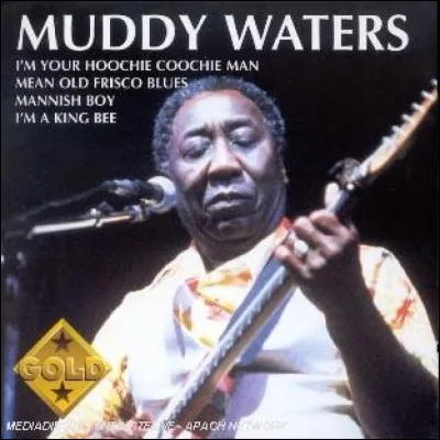 Le nom du groupe vient d'une chanson du chanteur de blues Muddy Waters.