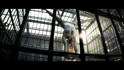 Quel sport pratique Harley Quinn ?