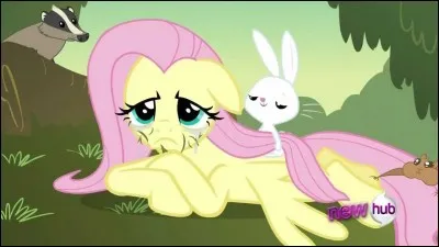 Quel est le nom de cette ponette ?