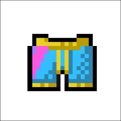 &Agrave; qui appartient ce slip ?