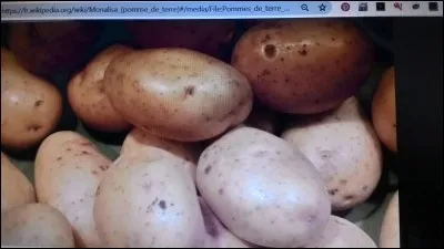 Quel est le nom de cette pomme de terre ?