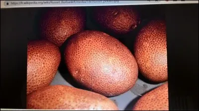 Quel est le nom de cette pomme de terre ?