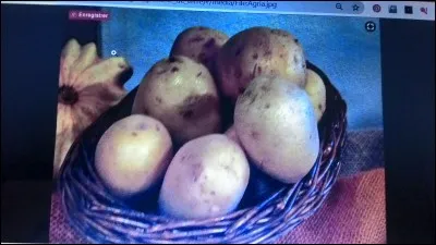Quel est le nom de cette pomme de terre ?