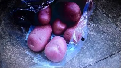 Quel est le nom de cette pomme de terre ?