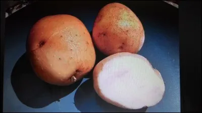 Quel est le nom de cette pomme de terre ?