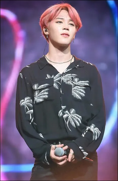 Comment s'appelle le frère cadet de Jimin ?