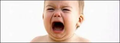 Quel membre a pleuré quand il a signé son contrat ?