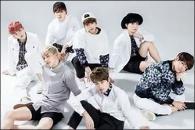 Lequel d'entre eux n'est pas dans le groupe ?