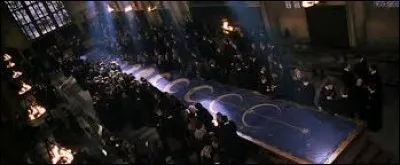 Quel personnage Harry veut-il protéger du serpent pendant le duel ?