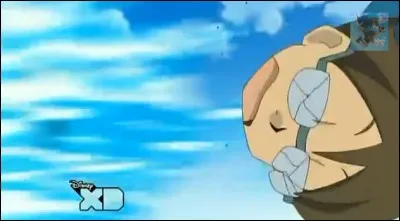 Quel est le nom anglais du Brise-Lunettes ?