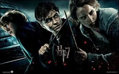 Dans ton groupe d'amis, tu es plutôt...