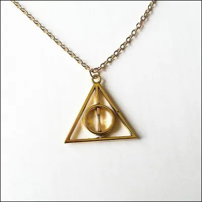 Quelle relique est en la possession de Dumbledore puis en la possession de "Vous-Savez-Qui" ?