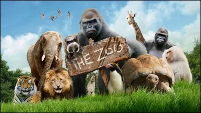 Y a-t-il un zoo avec des pandas ?