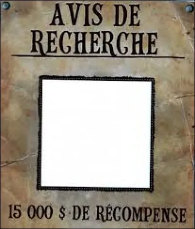La laie a perdu son enfant, elle propose une grosse récompense à quiconque le ramènera !