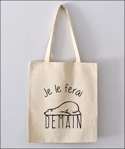 Ce type de sac s'appelle...
