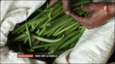 Là, on ne parle pas du haricot, mais d'une gousse qui a fait la renommée d'une île française, même si au départ, elle est originaire du Mexique où une variété d'abeille la faisait fructifier. C'est un jeune esclave qui trouva le moyen de se passer de l'abeille. C'est ainsi que l'Ile Bourbon connut une renommée internationale. Retrouvez son nom actuel !
