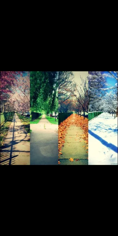 La saison que vous préférez est...