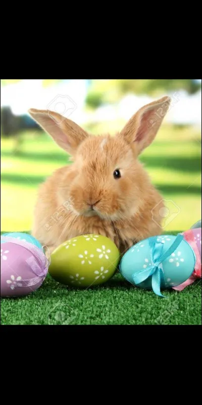 Croyez-vous aux lapins de Pâques ?