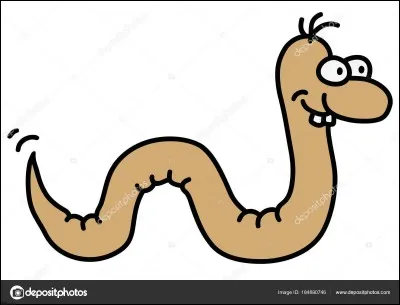 Que signifie l'expression "tuer le ver" ?