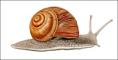 Lequel de ces quatre poètes est de langue allemande ?