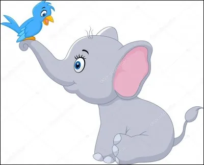 Les éléphants sont :