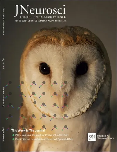 Qu'est-ce qu'un animal invertébré ?