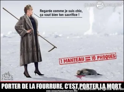 Tout les animaux tués sont-ils au final utilisés ?