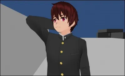 Combien de filles sont amoureuses de lui ?