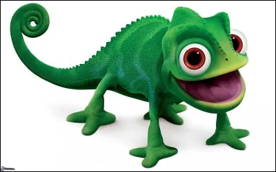 Pour quelle raison le caméléon change-t-il de couleur ?