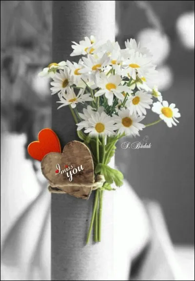 Passionnément est un :