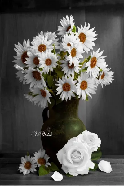 Un peu de...quoi ? dans le titre de l'album plein d'humour de Jean-Jacques Sempé, et qu'il a entièrement consacré à la Ville Lumière !