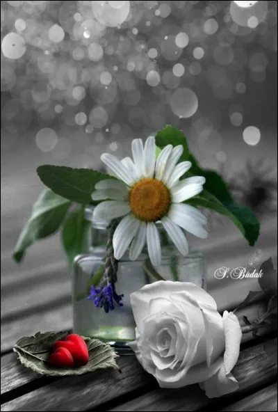 Qui chantait "Croyez-vous que je sois jaloux ? Pas du tout ! pas du tout !" ?