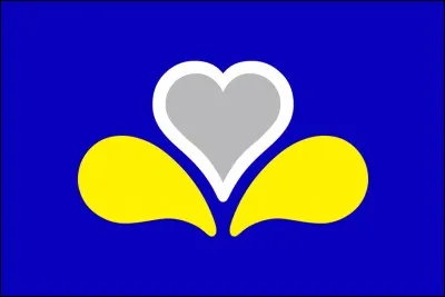 Quelle est la capitale de la région de Bruxelles-Capitale de Belgique ?