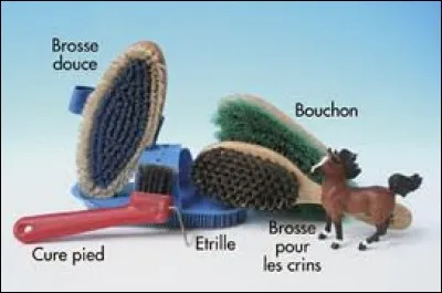 Quelle est la deuxième brosse utilisée pour panser le cheval ?