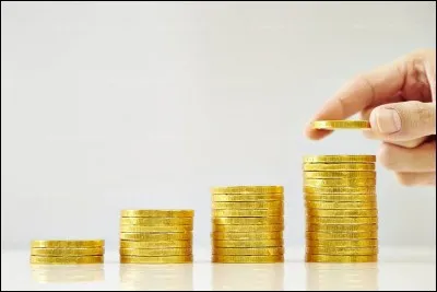 Quel vêtement symbolise la marée humaine de personnes défilant dans les rues de France pour obtenir entre-autre une augmentation du pouvoir d'achat ?