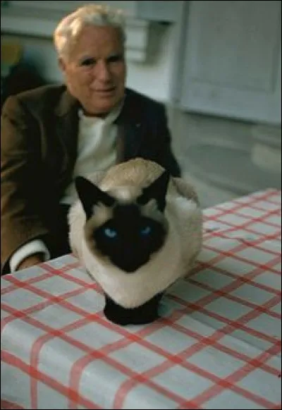 Ce très beau siamois qui prend la pose appartient à un grand acteur et réalisateur anglais. Qui est-il ?