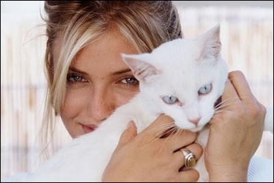 Deux jolies paires d'yeux clairs pour ces deux stars qui partagent la photo... Ce beau chat blanc et... ?