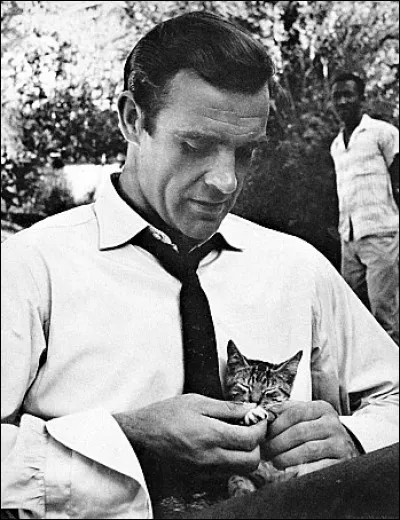 Cette photographie a été prise sur le tournage du film "Dr No". Ce joli petit chat est donc caressé par l'acteur... ?