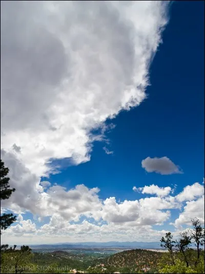 Cloud Preston était un éminent spécialiste américain de la science de la terre, biogéologue, cosmologiste et paléontologue.