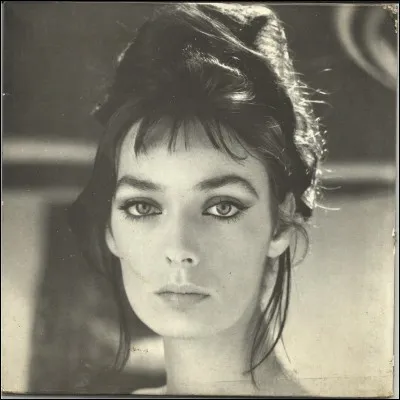 "Flic ou voyou" est un film joué par Alain Delon.