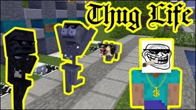 À quel point es-tu un thug ?