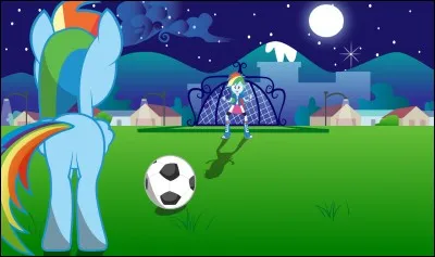 Quel est votre sport favori ?