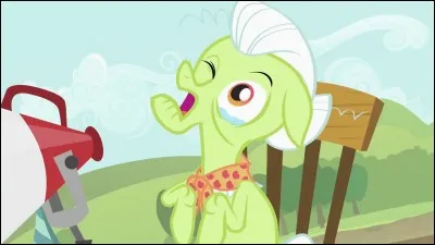 Quel âge avez-vous ?